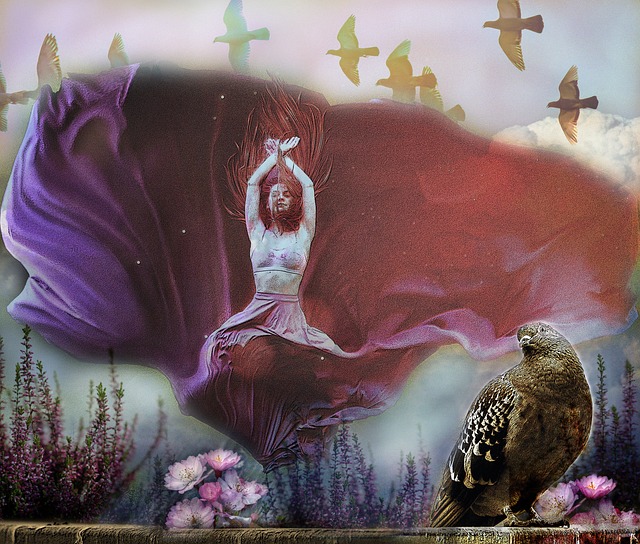 令人惊叹的 令人惊叹的