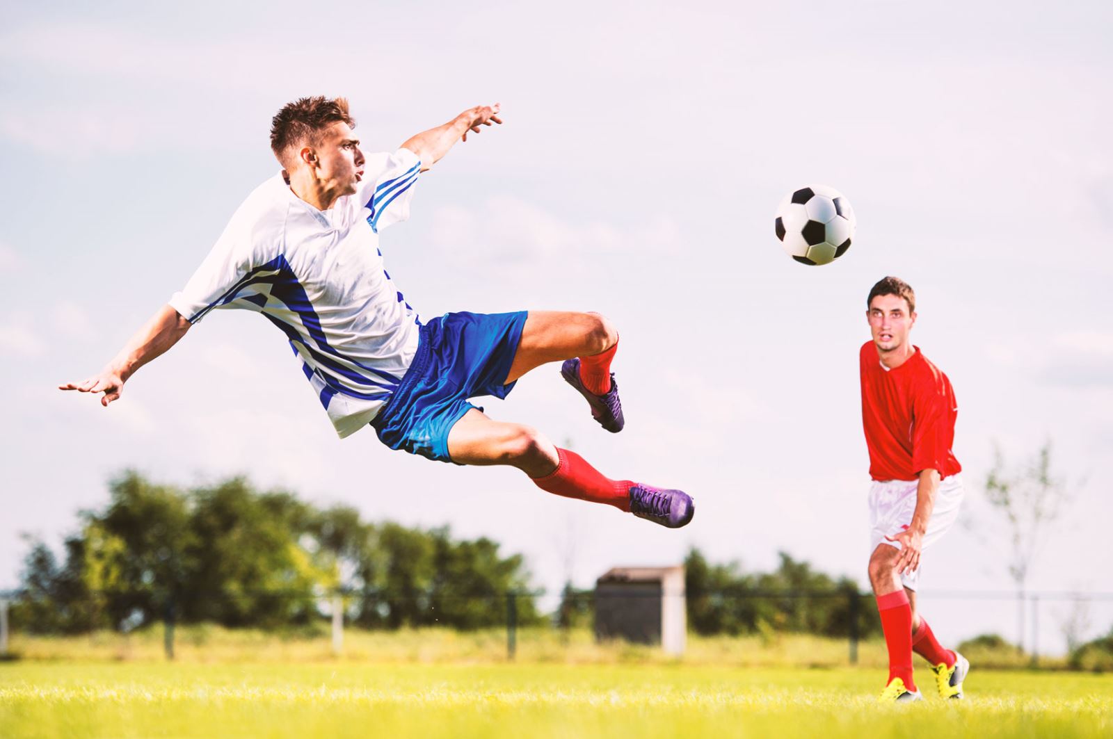 杂的政治博 杂的政治博