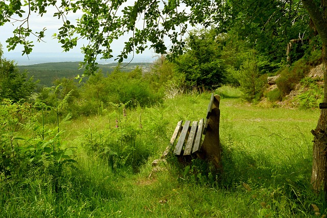 多省市举重队齐聚海南冬训.