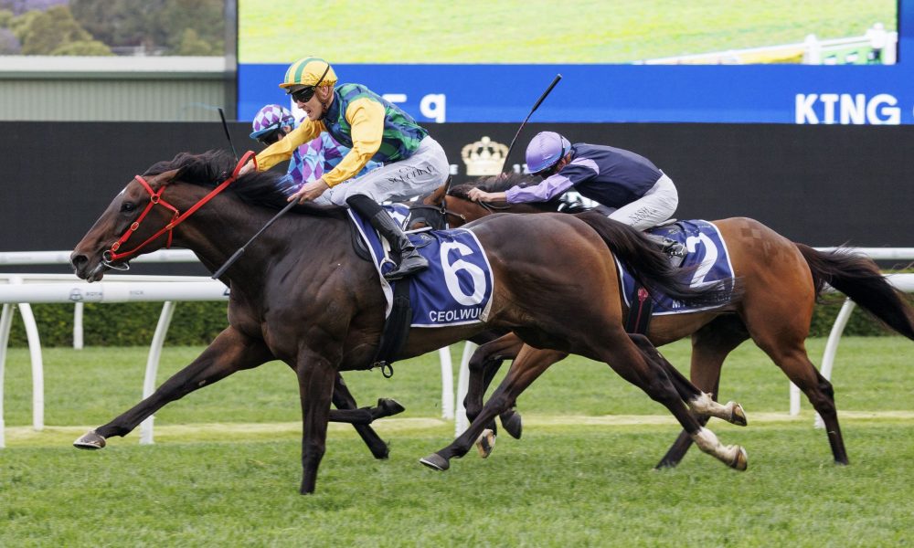 12胜1负！老詹关键封盖！三人60分打穿火箭！他却惨遭DNP!.